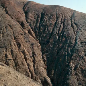 sheep damage and erosion, upper Laguna Canyon, Santa Cruz Island