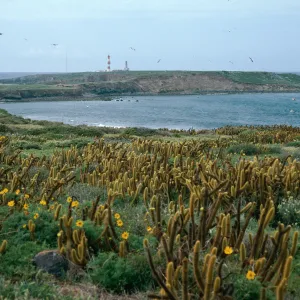 Todos Santos Island