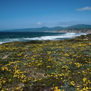 Cojo, Jalama