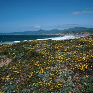 Cojo, Jalama