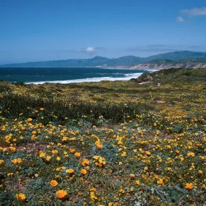 Cojo, Jalama