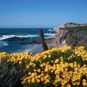 Cojo, Jalama