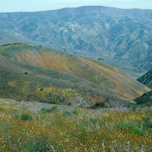 Caliente Mountain