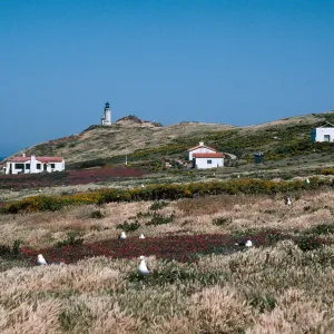 Anacapa Island