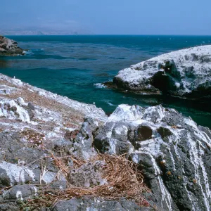 Fraser Point, Santa Cruz Island