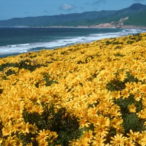 Jalama