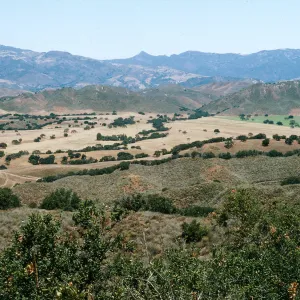 Rancho Felicia
