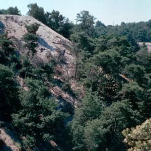Pine Canyon, Orcutt
