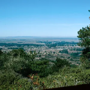 Pine Canyon, Orcutt