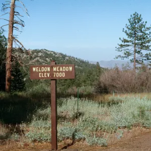 Piute Mountain (Weldon Meadow), Kern County