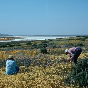 Soda Lake