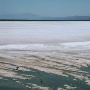 Soda Lake