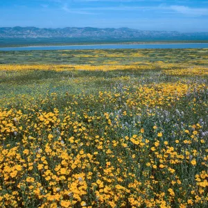 Soda Lake