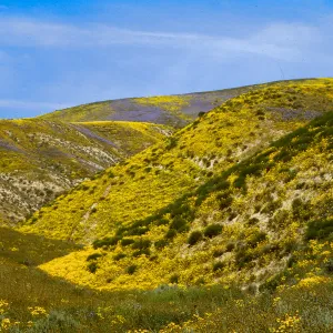 Temblor Mountains, along Highway 58, nearSoda Lake
