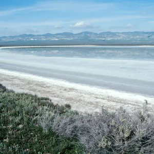 Soda Lake