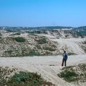 motorcycle erosion, Guadalupe Dunes
