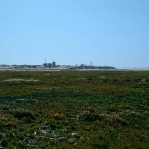 Guadalupe Dunes