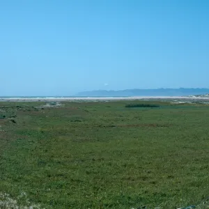 Guadalupe Dunes