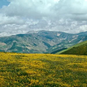 Road to Mt. Abel 