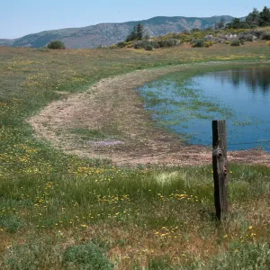 Vernal Pond, Mt. Abel