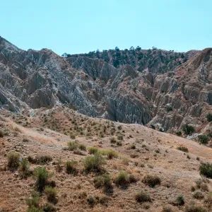 Ballinger Canyon, fossil