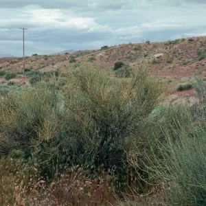 Ballinger Canyon
