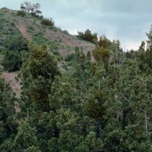 Ballinger Canyon