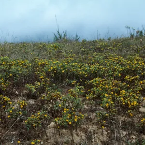 Hollister Ranch
