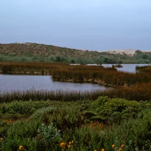Dune Lakes