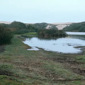 Dune Lakes