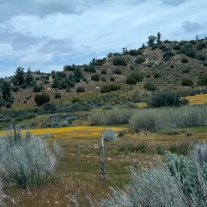 Ozena Valley