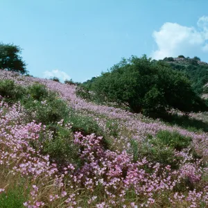 Klipstein Canyon