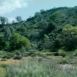 Sedgwick Ranch, Figueroa
