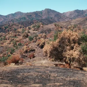 San Luis Obispo