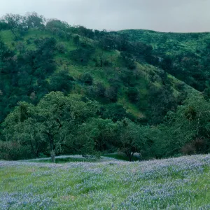 to Hi Mountain