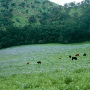 to Hi Mountain