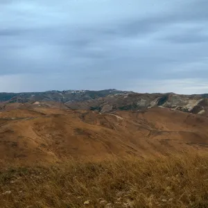 Santa Rosa Island