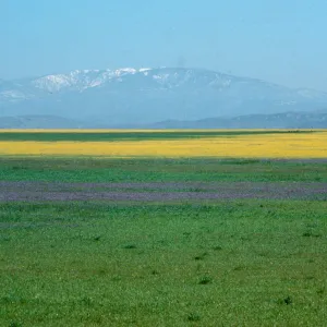 Soda Lake