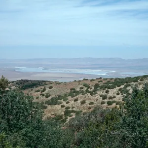Soda Lake