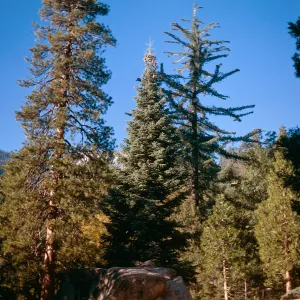 Idyllwild, California - Sept. 1967, N.W. Baker
