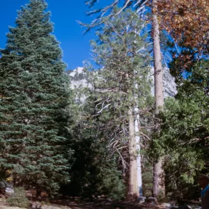 Idyllwild, California - Sept. 1967, N.W. Baker