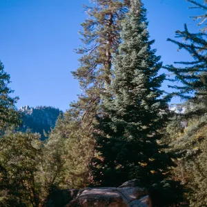 Idylwild, California - Sept. 1967, N.W. Baker
