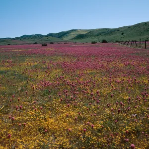 Highway 166 & 33