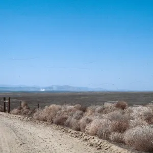 Carrizo Plain
