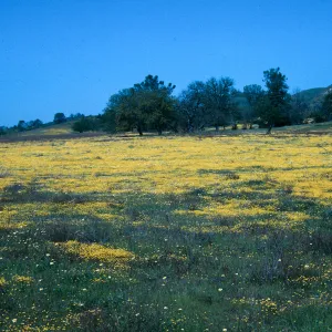 Shell Creek