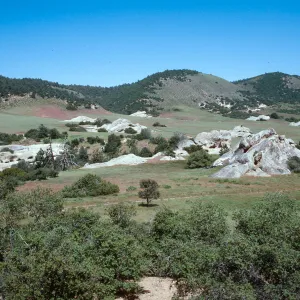 Pine Corral Potrero