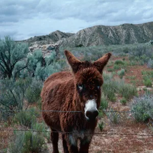 Quatal Canyon