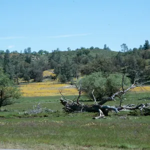 Shell Creek