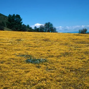 Shell Creek