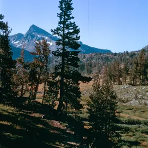 Upper Tuolumne meadows